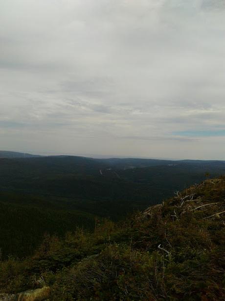 Sentier international des Appalaches : une journée de transition puis à l'assaut de la réserve faunique de Matane!