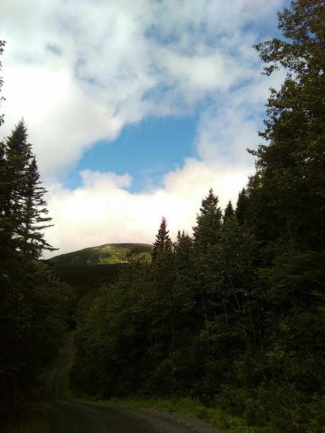 Sentier international des Appalaches : une journée de transition puis à l'assaut de la réserve faunique de Matane!