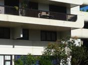 compost collectif, c’est possible