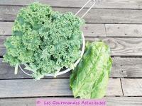 Sauce au Kale, aux Blettes, aux échalotes et aux noix (Vegan)