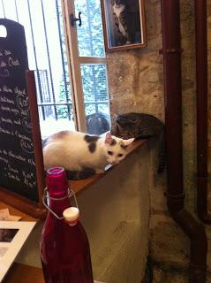 Le café des chats : ses deux lieux rue Michel le Comte M° Rambuteau et rue Sedaine M° Bastille en images.