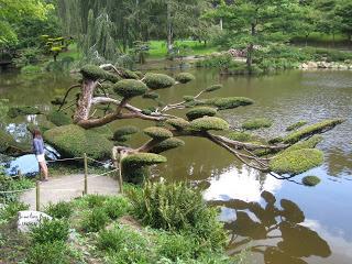 La Photo du Mois #7 : renversant !