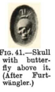Furtwangler Skull butterfly