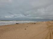 semaine Vendée Saint Jean Monts