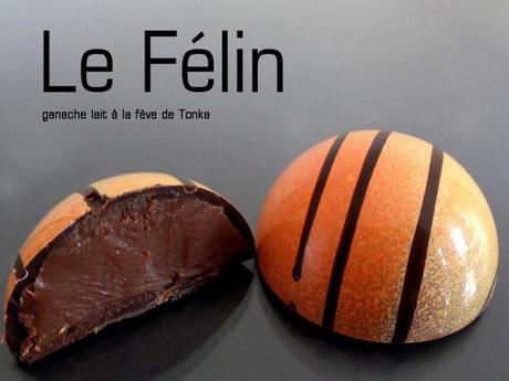 Chocolats fins : ballotins d'été 2015