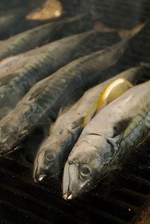 Maquereaux marinés au vin rouge, cuisson au barbecue ou à la plancha Maquereaux grillés au vin rouge