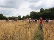 Face multinationales veulent s’emparer semence, paysans résistent l’idée bien commun