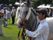 International Stakes 2015