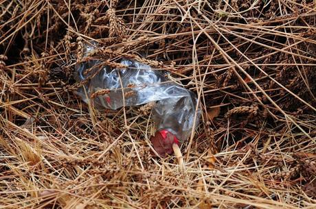 La tête dans les nuages, les pieds dans les déchets