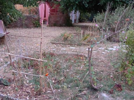 « Les boules fondent en été »*