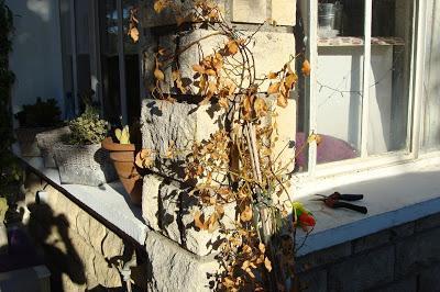 « Les boules fondent en été »*