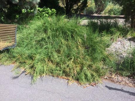 « Les boules fondent en été »*