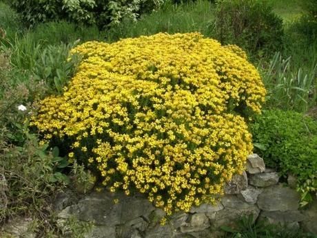 « Les boules fondent en été »*