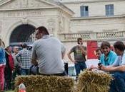 Élevage Nous sommes d’un modèle productiviste