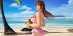 bikinis bien remplis avec Dead Alive Xtreme