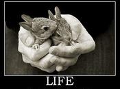 Cantines religion j’ai soluce