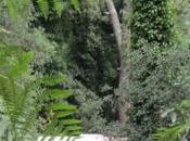 Campeurs hors discorde toile fond, combat vire bras avec maire Flotte