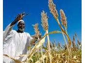 Comment aller vers croissance inclusive durable?