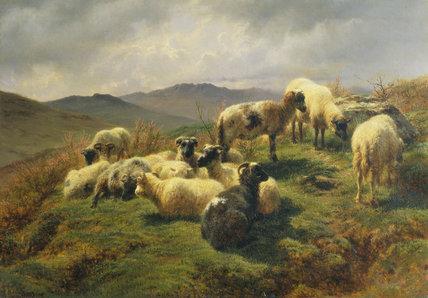 Rosa Bonheur moutons dans le heighlands