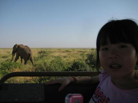 Kenya: safari avec un jeune enfant