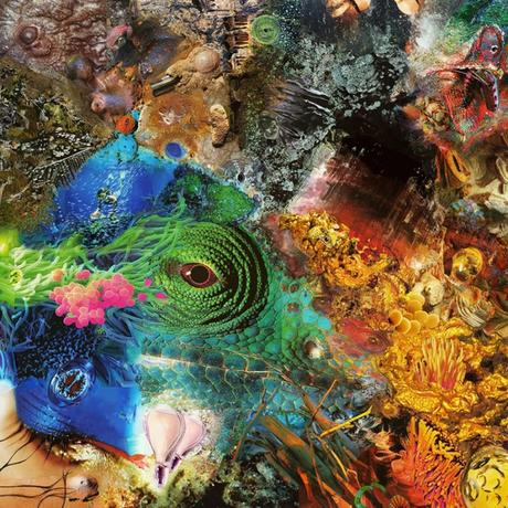 00c789a055ba5789620e7c3719447660