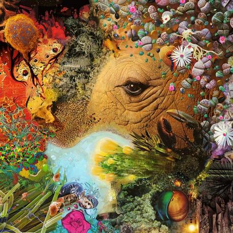 021a2e138dd94da78535ab439ab15e88