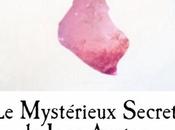 Découvrez Mystérieux Secret Jane Austen délicieuse nouvelle romance Lhattie Hanielul