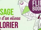 Chronique coloriage anti-stress Mini message Histoire d'un oiseau colorier animer