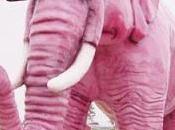 copine Audrey...c'est lumière