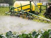 Herbicides: presse l’Europe d’appliquer principe précaution