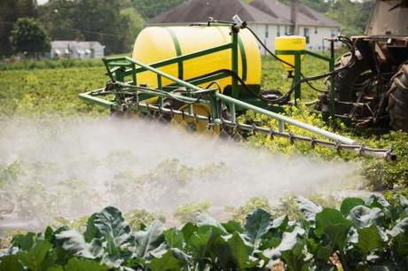  Le Glyphosate est l’ingrédient principal du désherbant Roundup du géant américain Monsanto. © Reporters 
