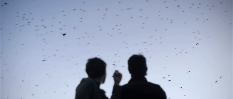 Programme de l’Étrange Festival 2015 Upstream Color film