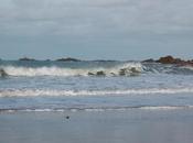 océans, victimes solutions face dérèglement climatique. Ocean Climax Festival Rencontre avec Hubert Reeves