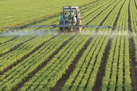 GLYPHOSATE, STOP OU ENCORE ? DANS L’ATTENTE DU VERDICT DE L’EUROPE…