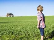 Glyphosate, stop encore dans l’attente verdict l’europe…