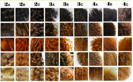 Classification des cheveux | Quel est mon type de cheveux ?
