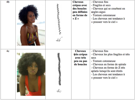 Classification des cheveux | Quel est mon type de cheveux ?