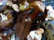 poussée irrésistible