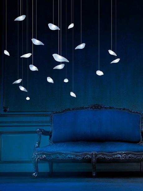 CLICHÉ BEAU ET DÉMONSTRATIF POUR LE PLAISIR DES YEUX !