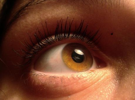 L’oeil : un organe trop souvent malmené oeil happy swallow