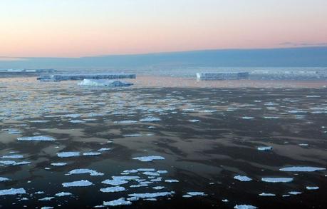 Icbergs dans l'Antarctique.