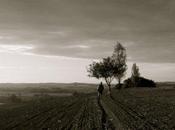 Comment (vraiment) sauver l’agriculture française avec milliards