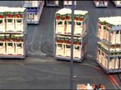 journée d'une rose vidéo