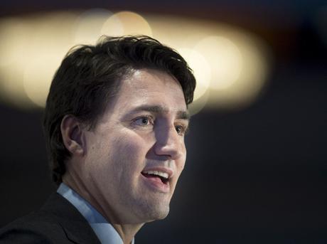 Politique Synthétique