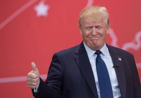 Politique Synthétique