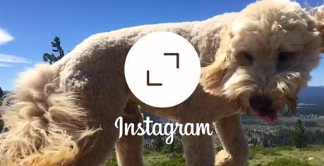Instagram accepte enfin les photos rectangulaires