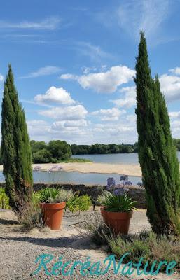Balade d'Eté près d'Angers #4 : Le Jardin Méditerranéen en Bords de Loire