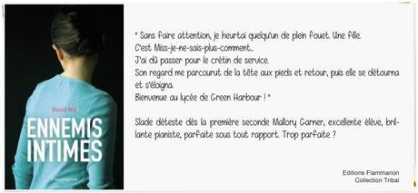 Ennemis Intimes | David Hill