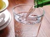 OBÉSITÉ: Boire l'eau avant chaque repas augmente perte poids Obesity