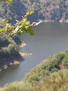 En remontant la Dordogne